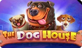 Happy Jokers Casino – The Dog House